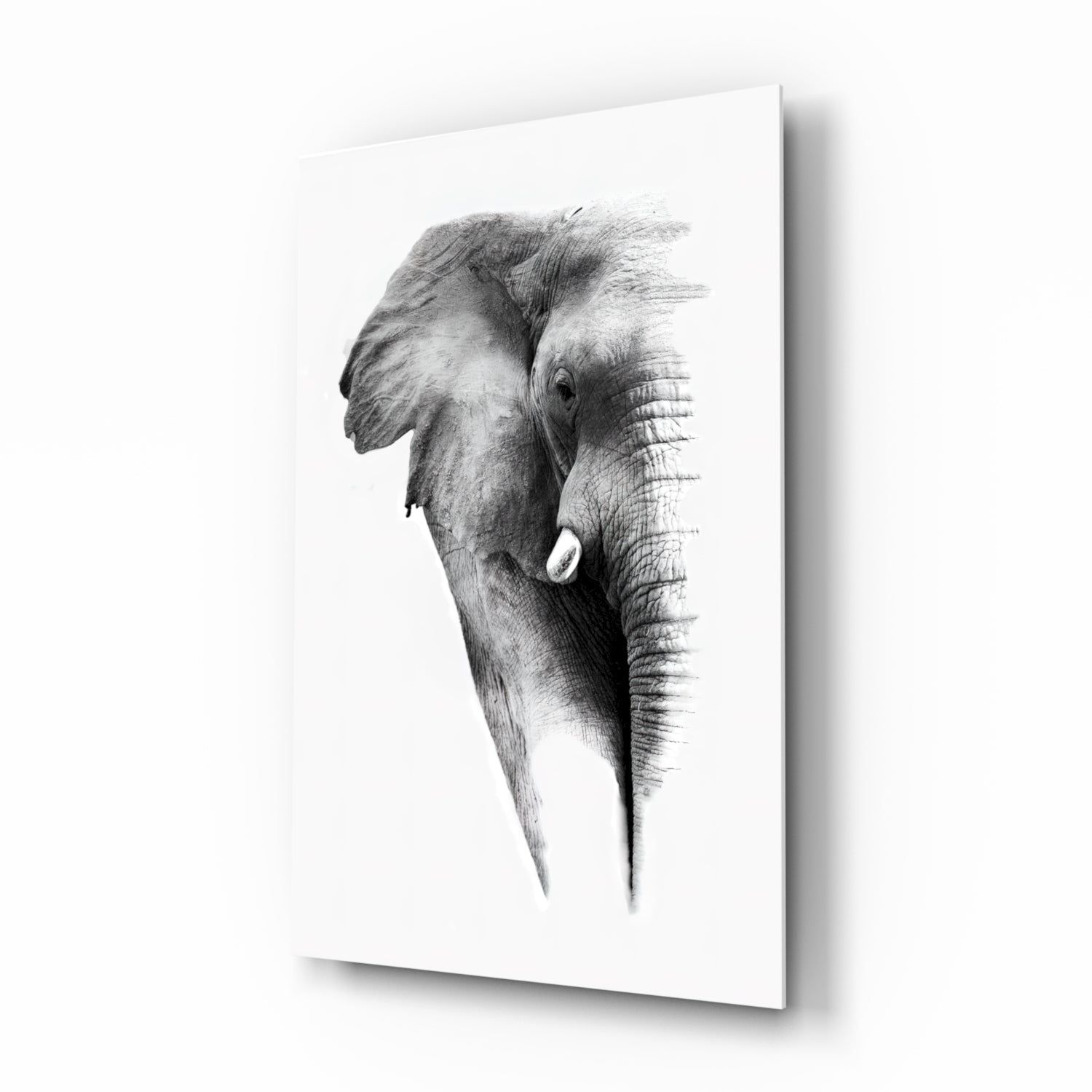 Elephant Glass Wall Art.