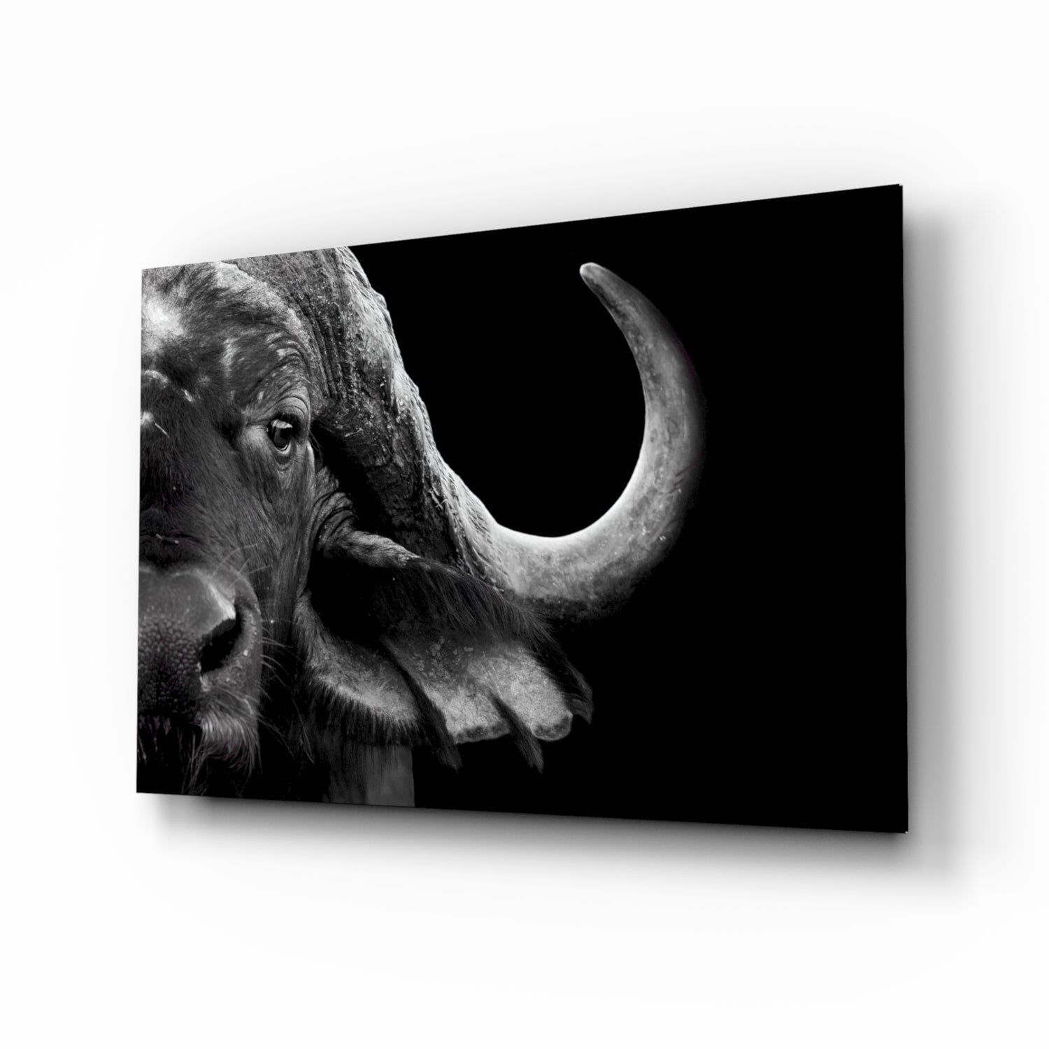 Bison Glass Wall Art.