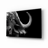 Bison Glass Wall Art.
