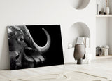 Bison Glass Wall Art.