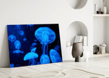 Jellyfish Glass Wall Art.
