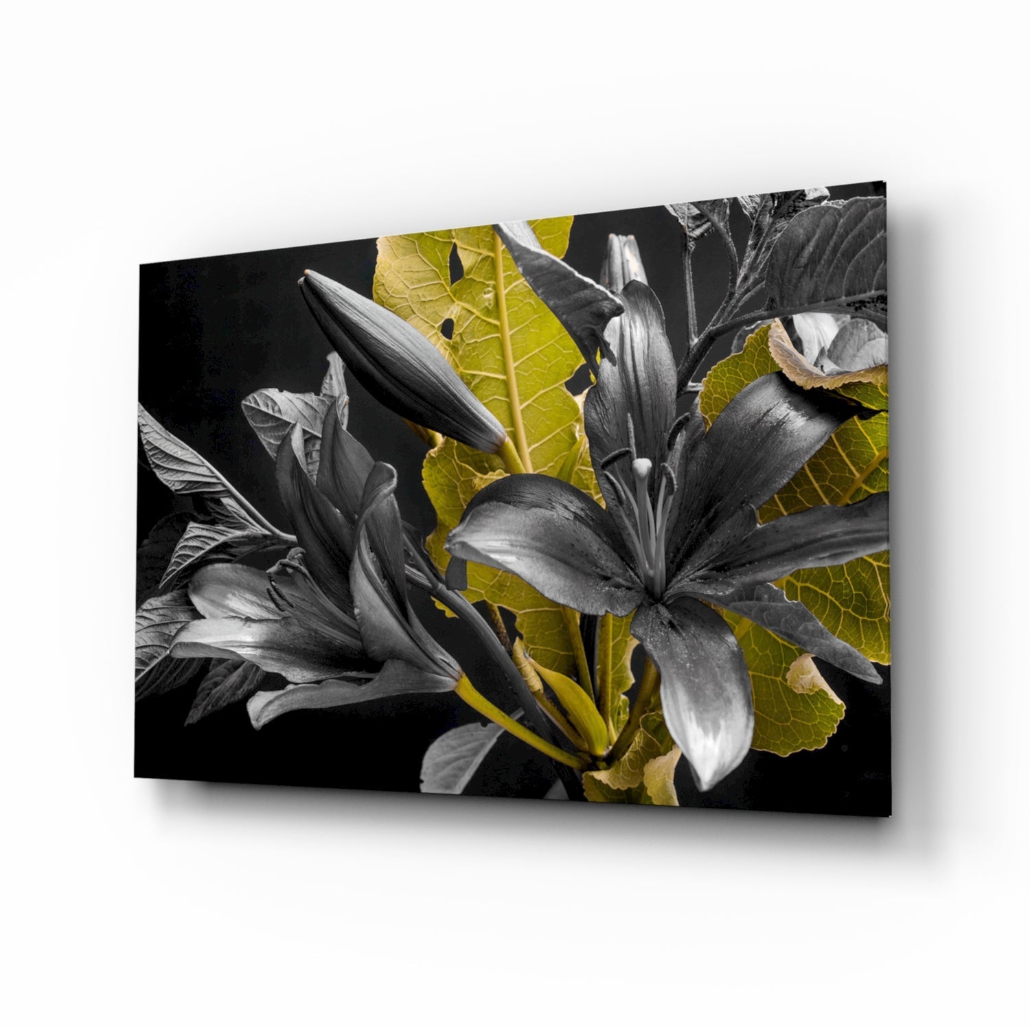 Flowers Glass Wall Art.