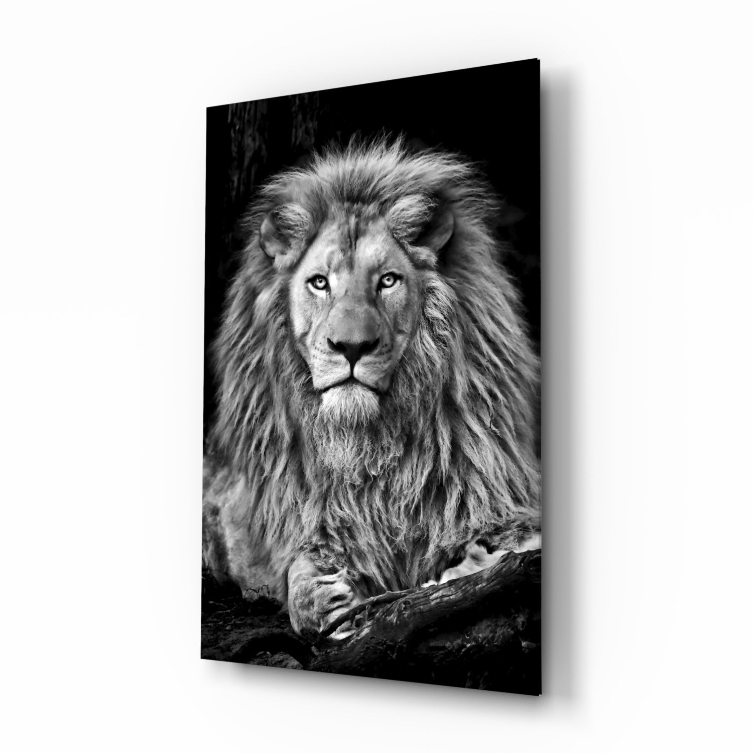 Lion Glass Wall Art.