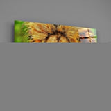 Lion Glass Wall Art.