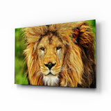 Lion Glass Wall Art.