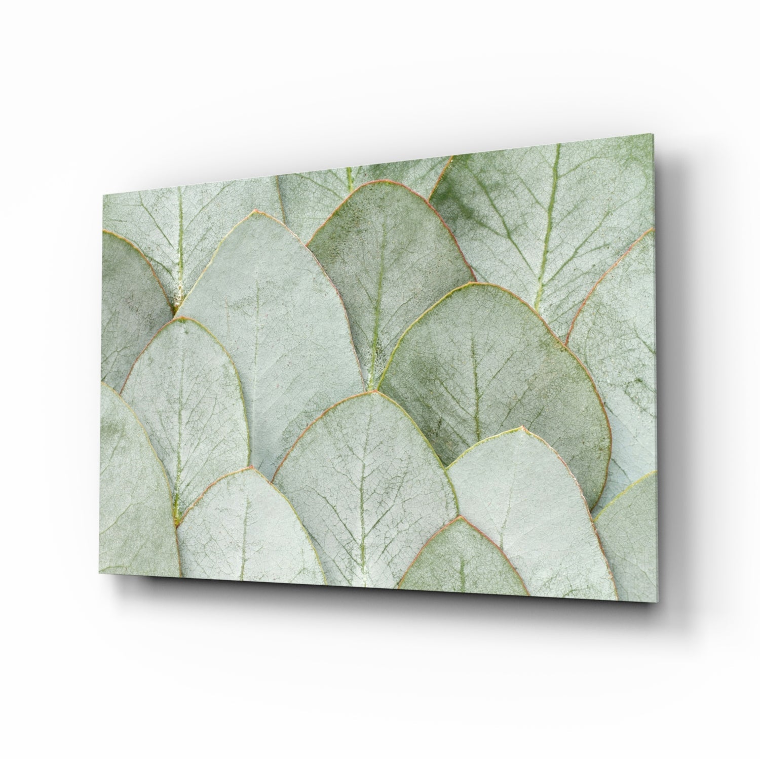 Botanical Glass Wall Art.