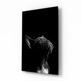 Bulldog Glass Wall Art.