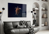 Tortoise Glass Wall Art.