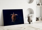 Tortoise Glass Wall Art.