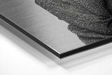 Brushed Aluminium Dibond Wall Art