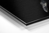 Brushed Aluminium Dibond Wall Art