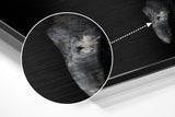 Brushed Aluminium Dibond Wall Art