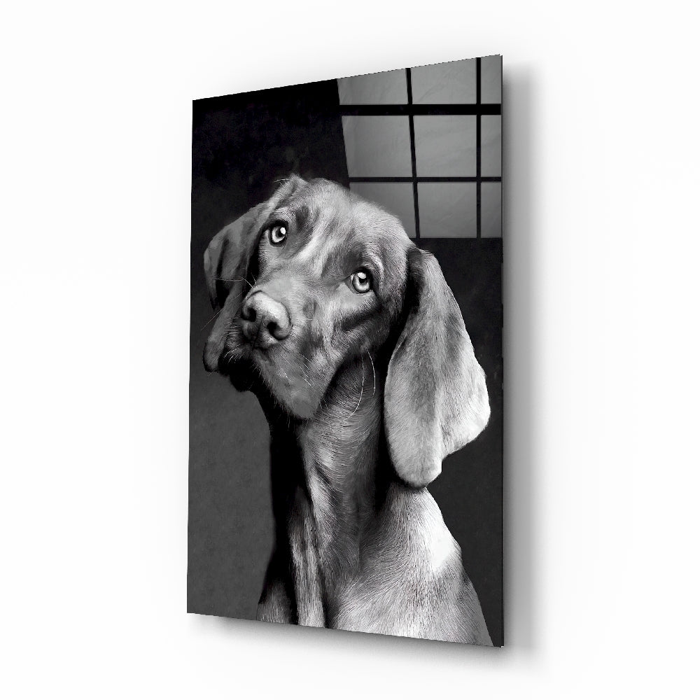 Innocent Dog Glass Wall Art | insigneart.co.uk