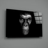Gorilla Glass Wall Art | insigneart.co.uk