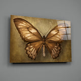 Butterfly Glass Wall Art | insigneart.co.uk