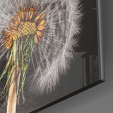 Dandelions Glass Wall Art | insigneart.co.uk