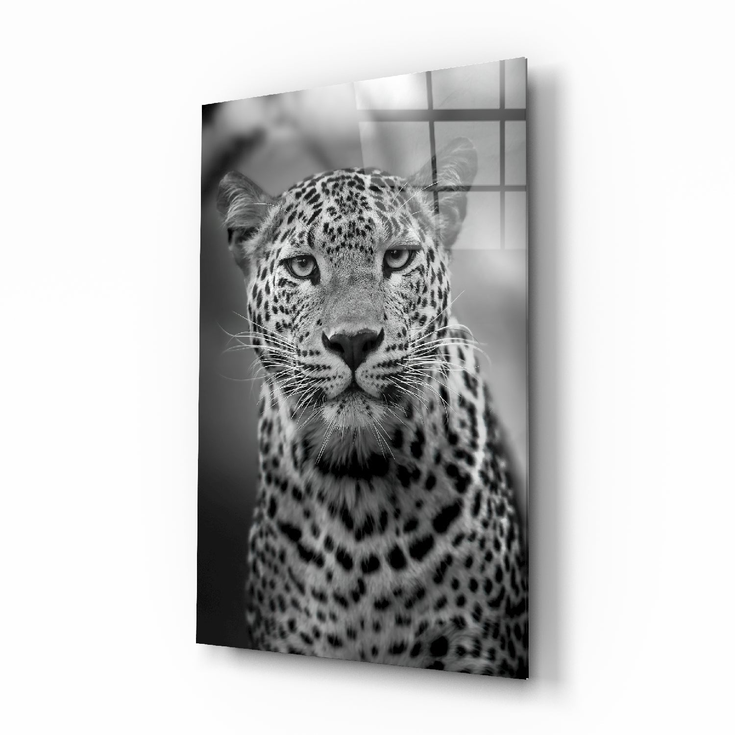 Leopard Glass Wall Art | insigneart.co.uk
