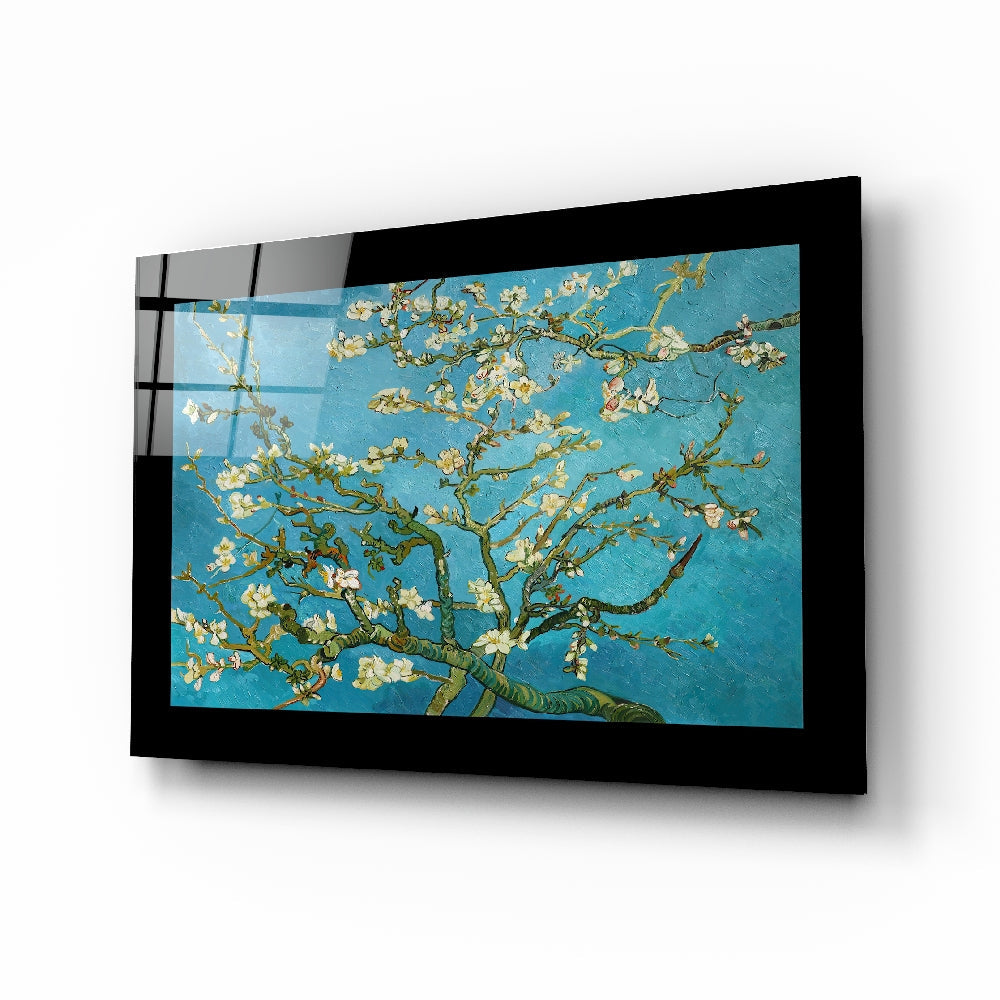Turquoise Almond Flowers Glass Wall Art | insigneart.co.uk
