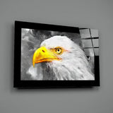 Eagle Glass Wall Art | insigneart.co.uk