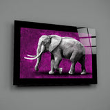 Elephant Glass Wall Art | insigneart.co.uk
