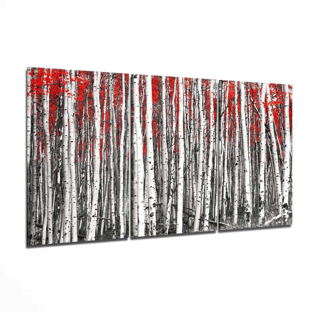Glass Wall Art
