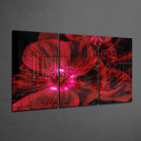 Glass Wall Art