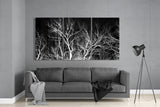 Glass Wall Art