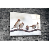 Birds Glass Wall Art | insigneart.co.uk