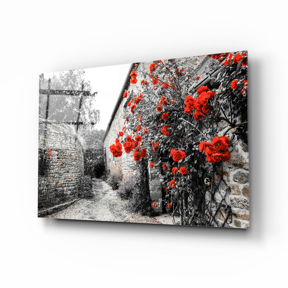 Red Rose Glass Wall Art | insigneart.co.uk