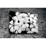 Flower Glass Wall Art | insigneart.co.uk
