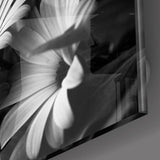 Black - White Flower Glass Wall Art | insigneart.co.uk