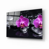 Orchid Glass Wall Art | insigneart.co.uk
