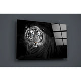 Tiger Glass Wall Art | insigneart.co.uk