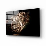 Leopard Glass Wall Art | insigneart.co.uk