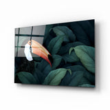 Toucan Parrot Glass Wall Art | insigneart.co.uk