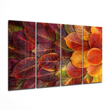 Glass Wall Art