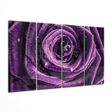 Glass Wall Art