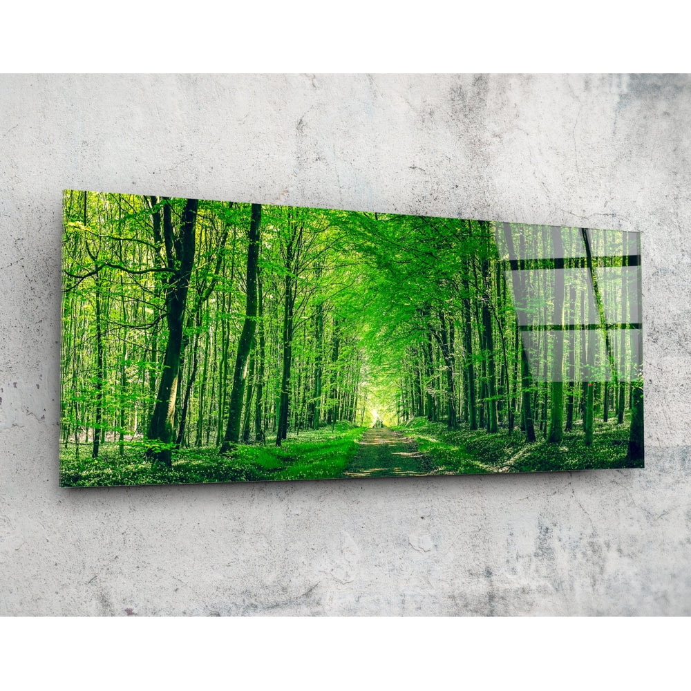Forest Glass Wall Art (92x36 cm)